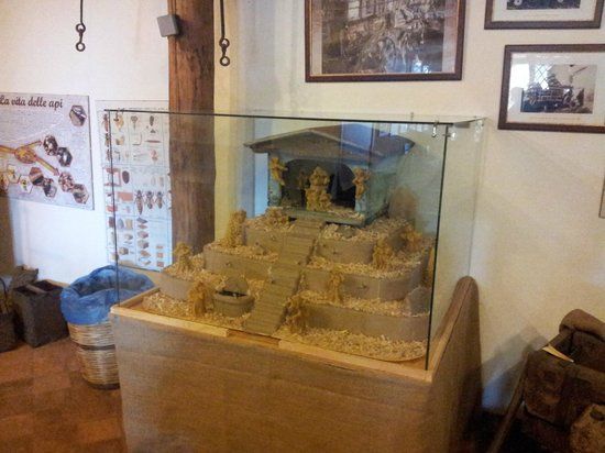 Casa Museo dell'Apicoltore di Sebastiano di Prima